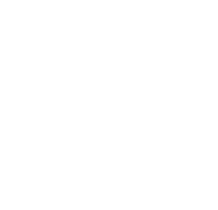 Nerafox Icon