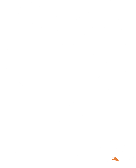 Nerafox